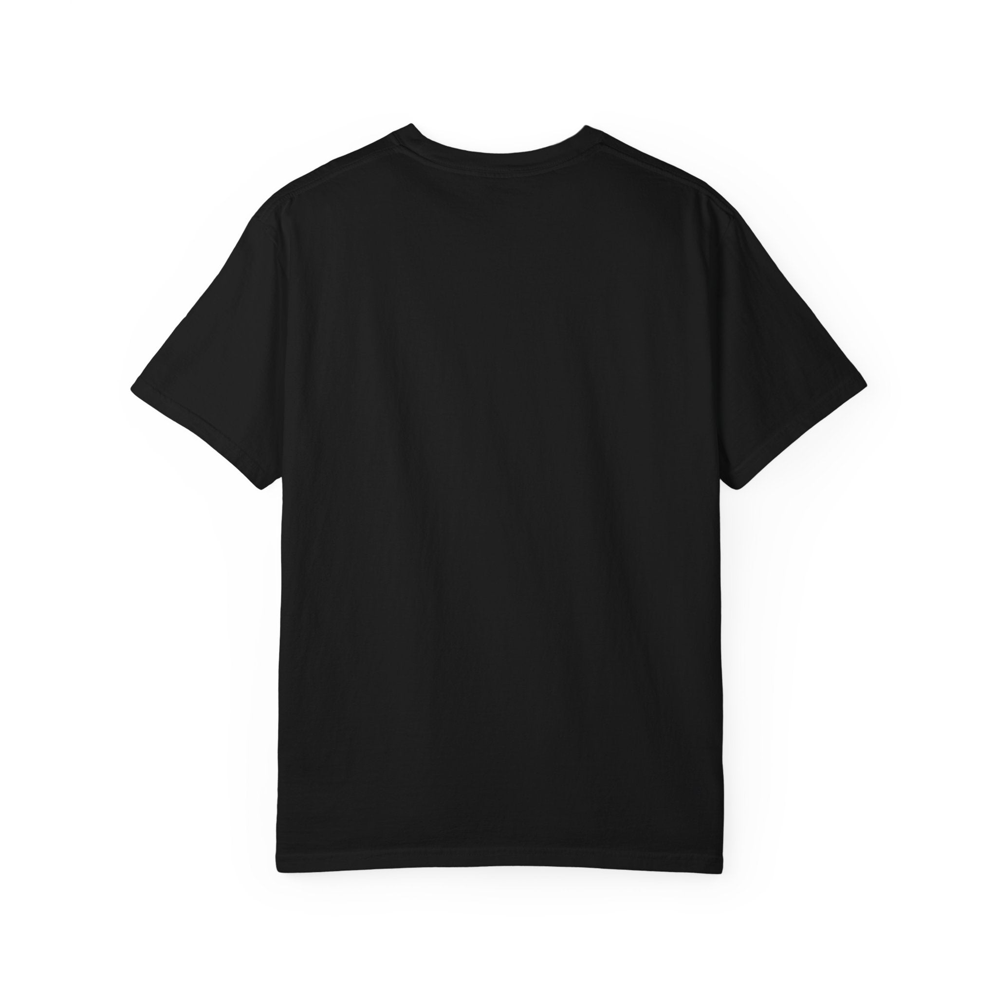 Provider. Protector. Legend. T-Shirt — Thank You Dad Father’s Day Tee